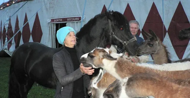 photo  pour sacha houcke et gaby dew, le dressage de leurs chevaux et lamas passe par une compréhension profonde de l’animal pour aboutir à une sublimation de la beauté de l’animal.  &copy;  ouest-france 