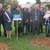 photo quatre arbres ont été plantés aux abords du lotissement gustave-lallierafin de célébrer les enfants nés récemment dans la commune.