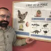 photo  selon l’enquête de frédéric fortunel, « huit personnes sur dix indiquent avoir une poule pour ses œufs ». 
