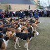 photo  l’église saint-georges de la fresnaye-sur-chédouet était trop petite, samedi, pour accueillir les fidèles lors de la célébration de la messe de la saint-hubert. après l’office religieux, le père emmanuel jamin a béni la soixantaine de chiens de la meute du rallye de perseigne, devant plus de 350 personnes. 