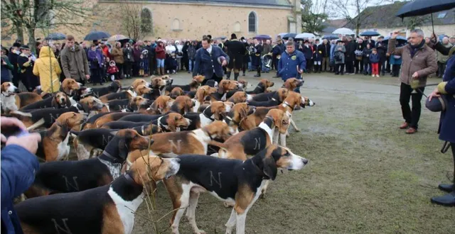 photo  l’église saint-georges de la fresnaye-sur-chédouet était trop petite, samedi, pour accueillir les fidèles lors de la célébration de la messe de la saint-hubert. après l’office religieux, le père emmanuel jamin a béni la soixantaine de chiens de la meute du rallye de perseigne, devant plus de 350 personnes.  &copy;  ouest-france 
