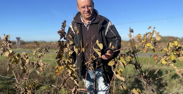photo  christophe vilain, vigneron au loroux-bottereau depuis 1987, nouveau président de la fédération des vins de nantes. 