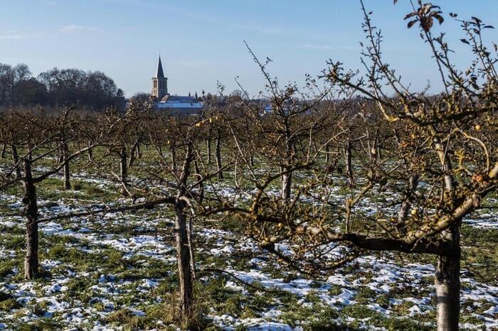 De la neige, de la pluie, des températures négatives… Les prévisions météo de la semaine  (Ouest-France)