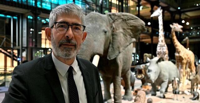 ENTRETIEN. « Le Muséum va monter le son sur la biodiversité », assure ...