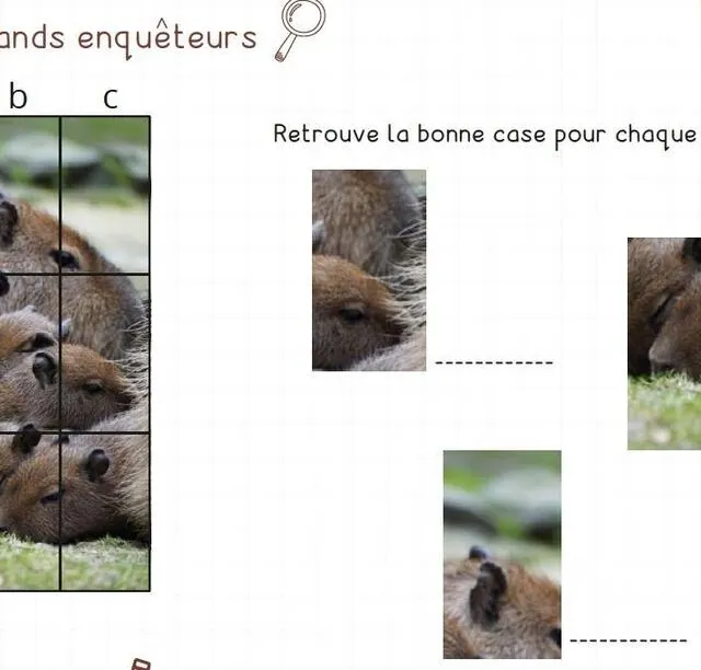 photo ces fiches thématiques sont mises à disposition chaque mercredi sur le site internet du zoo.  ©  zoo de la flèche