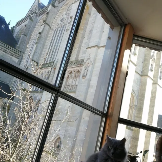 photo au pied de la cathédrale du mans, alex et sa copine, jeunes locataires (accompagnés des chats qu’ils accueillent en attendant qu’ils soient adoptés) profitent d’une vue imparable depuis la baie vitrée de leur salon.  ©  le maine libre