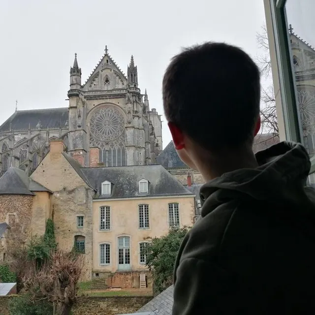 photo henri, 14 ans, regarde la cathédrale depuis sa chambre. la famille a ajouté cette fenêtre pendant des travaux pour avoir une vue sur l’édifice.  ©  le maine libre