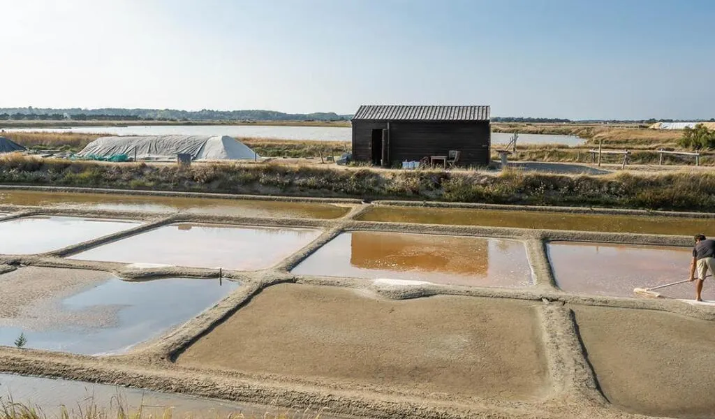 Balade sur les traces de la fleur de sel à L’Îled’Olonne . Sport Les