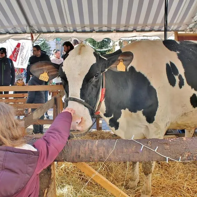 photo une mini-ferme, organisée par le syndicat des jeunes agriculteurs 72, était installée pour la première fois sur le marché de noël avec des animaux des environs.  ©  ouest-france