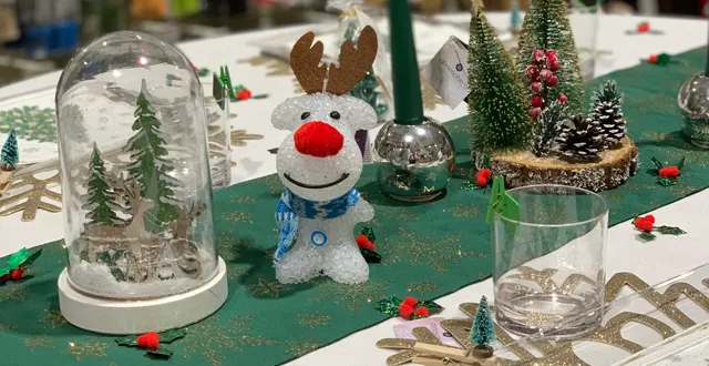 photo près d’angers, -20% sur la décoration de noël au magasin favry 