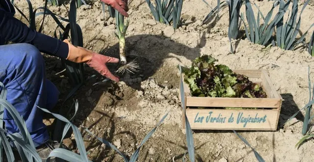 photo  les jardins de vaujoubert à rouillon.  &copy;  le maine libre 