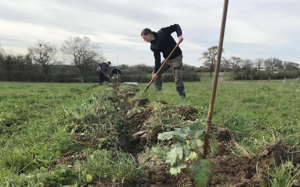 Au fil de l'herbe