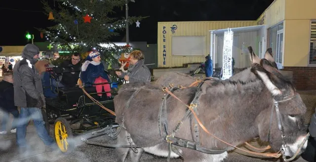 photo  des promenades en calèche seront proposées aux enfants.  &copy;  archives ouest-france 
