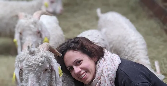 photo  pendant deux week-ends, la ferme du mohair du boucan ouvre ses portes aux visiteurs.  &copy;  ferme du boucan 