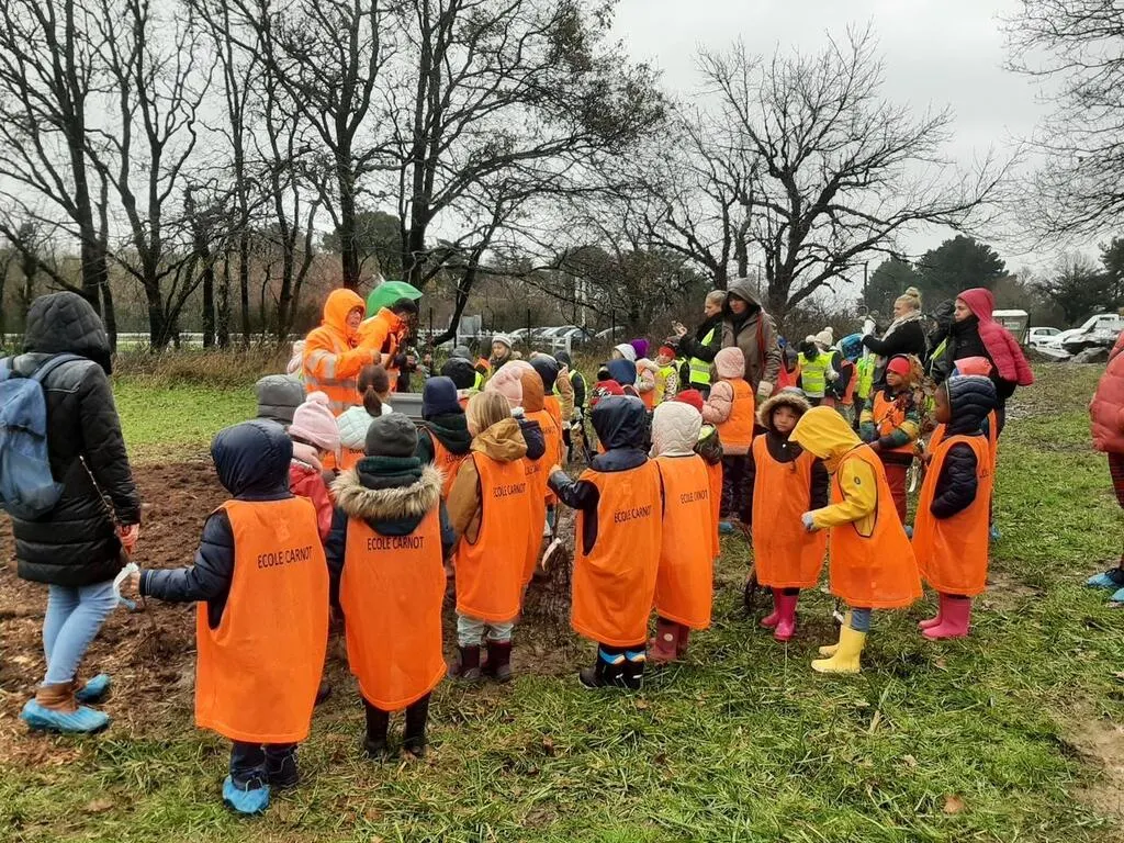 À SaintNazaire, 1000 arbres plantés par des élèves de CP Saint