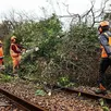 photo samedi 9 décembre, le train paris-granville parti de montparnasse à 16 h 53 a été bloqué dans l’eure par des chutes d’arbres et la présence de chevreuils (photo d’illustration).