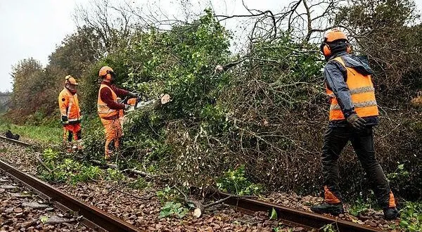photo  samedi 9 décembre, le train paris-granville parti de montparnasse à 16 h 53 a été bloqué dans l’eure par des chutes d’arbres et la présence de chevreuils (photo d’illustration).  &copy;  archives ouest-france 