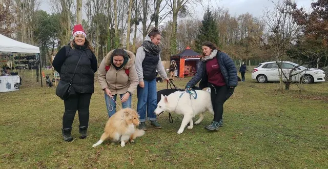 photo  tous les chiens de bonne éducation sont attendus au marché de noël dédié aux chiens.  &copy;  ouest-france 