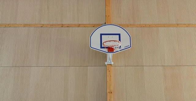 photo  les panneaux bois de la marque sarthoise ab pano servent à amortir les bruits des impacts des ballons dans les gymnases.  &copy;  photo ab pano 