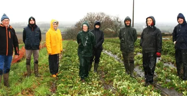 photo  c’est sous une pluie battante que nelly choplain et ses collègues ont travaillé.  &copy;  le maine libre 