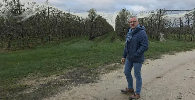 photo  pascal péan, co-gérant des vergers de la morinière à crosmières, envisage d’arracher 10 ha de pommiers sur 66 ha.  &copy;  le maine libre 