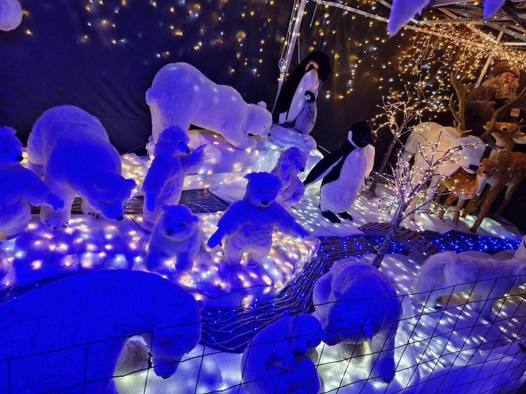 Il a créé un village de Noël féerique dans son jardin « 200 personnes