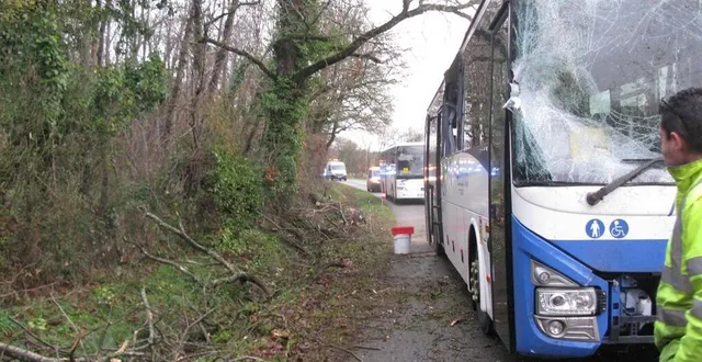 photo  ce mercredi 13 décembre 2023, un arbre s’est abattu sur un car scolaire, à briosne-lès-sables, en sarthe.  &copy;  ouest-france 