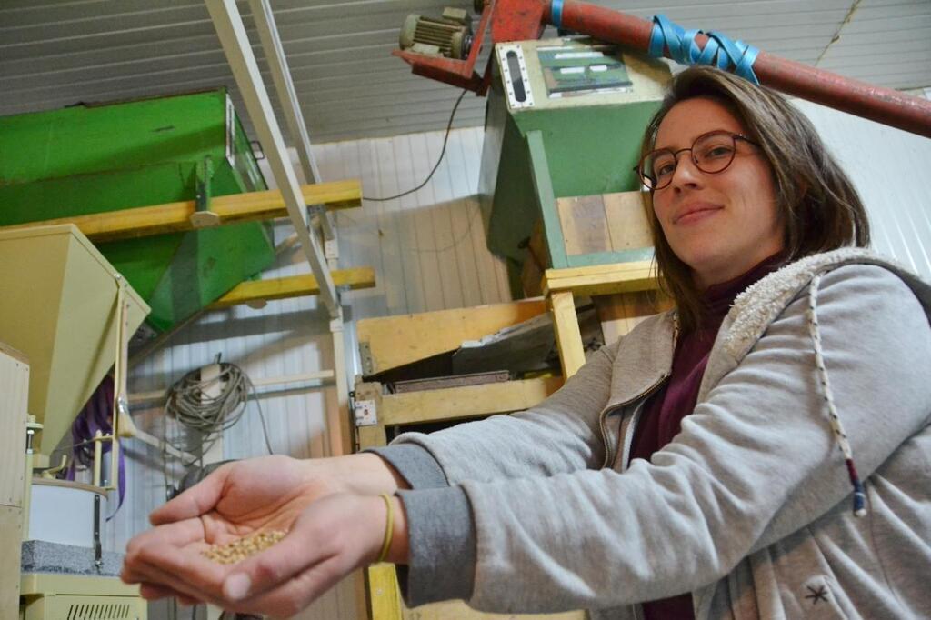 Pays de Lorient. Le boulanger moud son blé lui-même