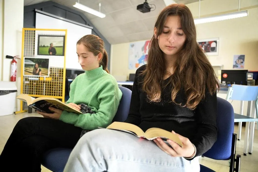 REPORTAGE. Pour « redonner envie de lire » à leurs élèves, les écoles multiplient les Quimper
