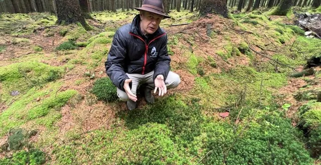 photo  michel ameline est responsable scientifique au parc naturel régional normandie-maine.  &copy;  archives ouest-france 