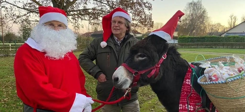 Sweat-shirt à Capuche Père Noël âne Eeyore | Lumières De Noël | Vert Forêt - Marque Gildan