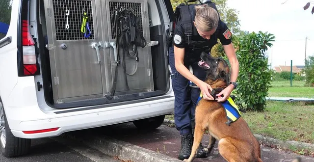 photo  arrivé à la compagnie de gendarmerie de la flèche en juin 2023 avec l’adjudant-chef céline besnard, pulaar vient de recevoir la médaille pour acte de courage et dévouement, échelon bronze.  &copy;  archive le maine libre 