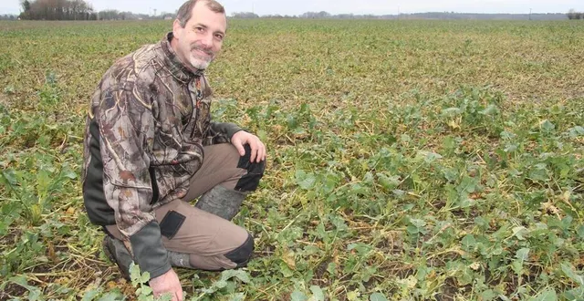 photo  guillaume loyer, installé depuis 2010 à sarcé, dans la sarthe, vient d’être labellisé « au cœur des sols ». ce label récompense les agriculteurs qui mènent des pratiques d’agriculture de conservation des sols.  &copy;  ouest-france 