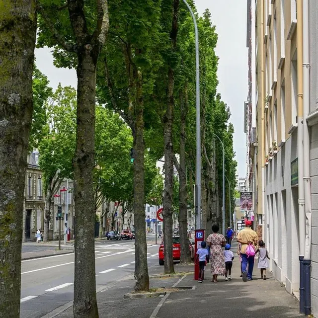 photo la ville du mans va planter 1 000 arbres par an pendant 10 ans.  ©  archives le maine libre