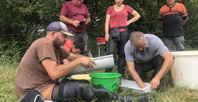 photo  la pêche d’inventaire est en cours. les poissons sont comptabilisés, pesés, mesurés et remis vivants à l’eau, à l’exception des espèces indésirables.  &copy;  le maine libre 
