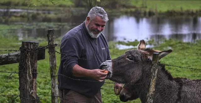 photo  christophe defressine a quitté son poste de gendarme pour se consacrer sept jours sur sept à sa centaine d’animaux.  &copy;  le maine libre – denis lambert 