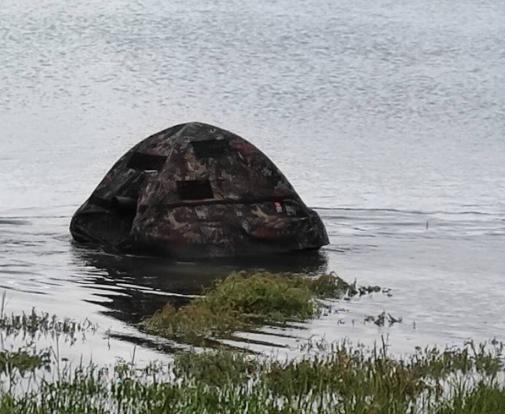 P.-O. Un bébé loutre recueilli sur un parking à Reynès n'a pas survécu 