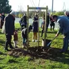 photo jean claude moser, le maire, rebouche le trou de plantation du 17e arbre, un cerisier, portant le nom du plus jeune des deux enfants.