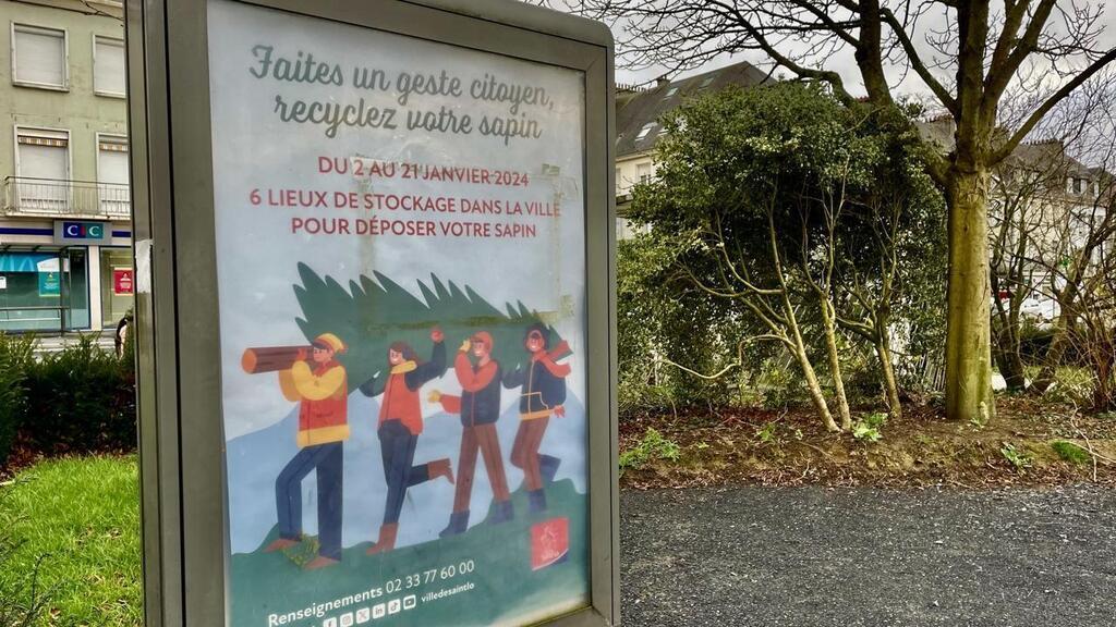 Collecte de sapins du 2 au 27 janvier 2023