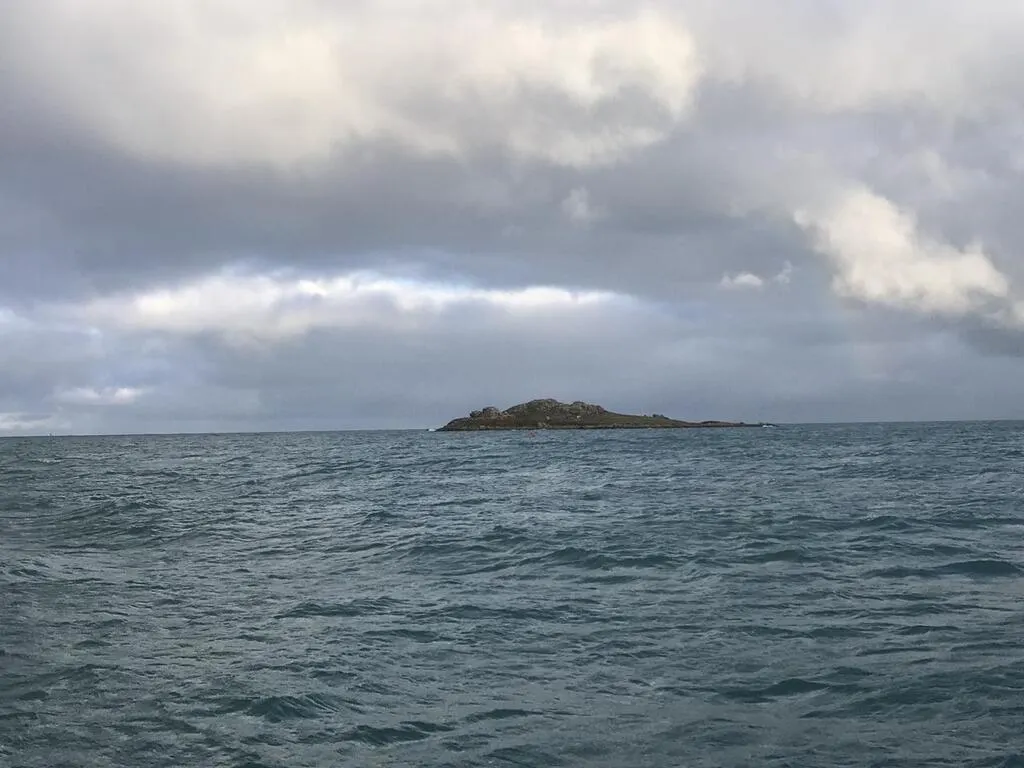 VIDÉO. Ces deux jeunes ont passé 24 heures isolés sur une île au large