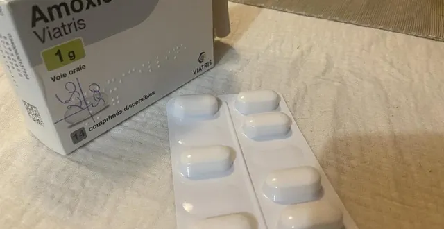 photo  les pharmaciens s’approvisionnent au compte-gouttes en amoxicilline.  &copy;  photo le maine libre 