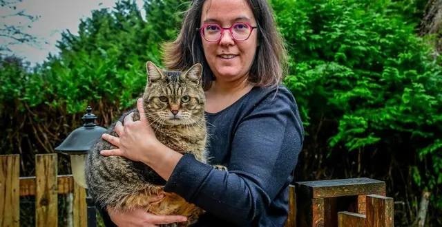 photo  clémence brunet, fondatrice d’anim’à cœur, a actuellement 28 chats à son domicile. ici baloo.  &copy;  photo : le maine libre – yvon loué 