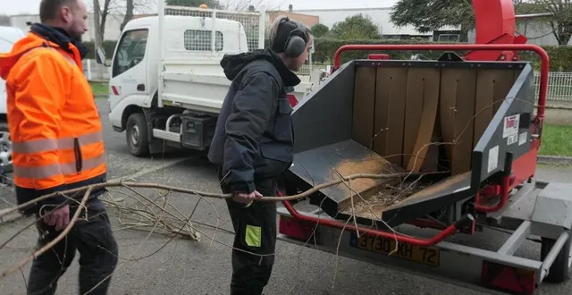 photo  broyés, ils serviront de paillage dans les espaces verts.  &copy;  le maine libre 