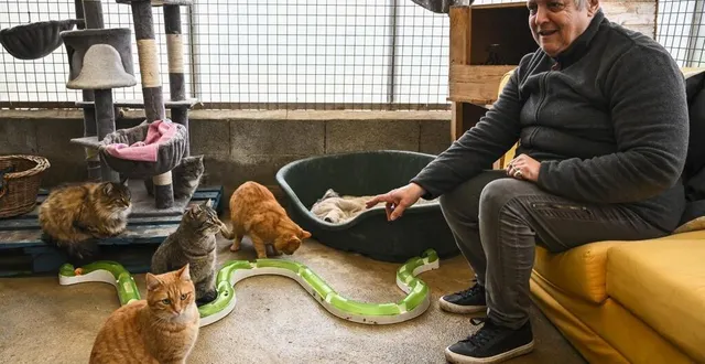 photo  la lda recueille des animaux de toutes sortes : chiens, chats, chèvres, et même des poneys et des ânes.  &copy;  le maine libre – denis lambert 