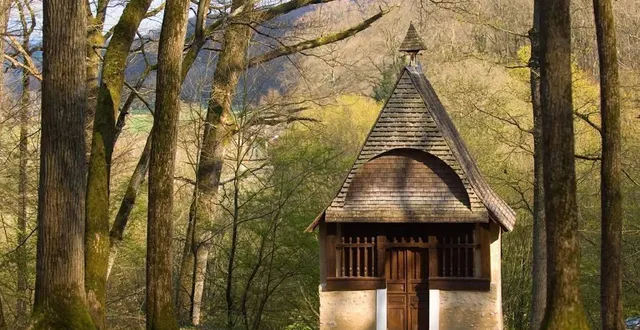 photo  la petite chapelle sainte-anne dans la forêt de vibraye.  &copy;  archives le maine libre 