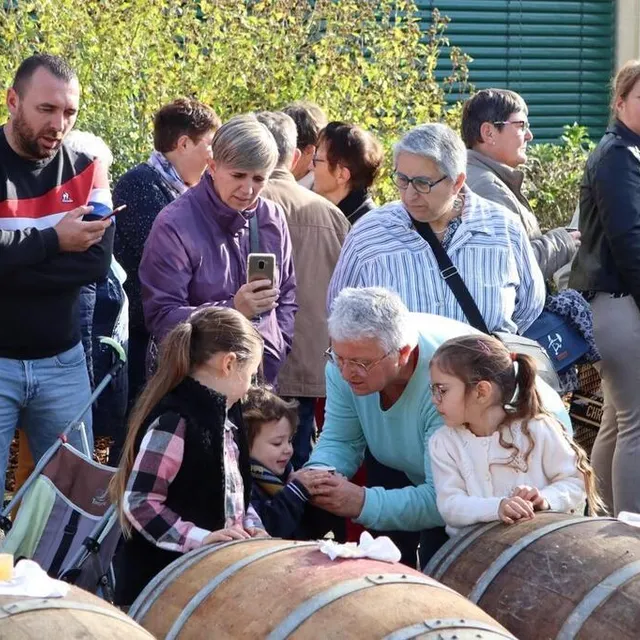 photo c’est l’heure de goûter le jus de pomme à cidre fraîchement pressé à l’occasion de la 2e fête du cidre à solesmes. une deuxième édition qui a rencontré un franc succès.  ©  ouest-france