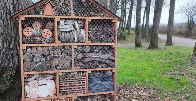 photo  l’hôtel à insectes attend ses premiers clients au parc de la pentière.  &copy;  ouest-france 