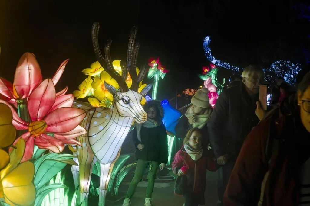 Avec 30 000 visiteurs, Les Animaux de lumière des Terres de Nataé sont auréolés de succès Avec 30 000 visiteurs, Les Animaux de lumière des Terres de Nataé sont auréolés de succès