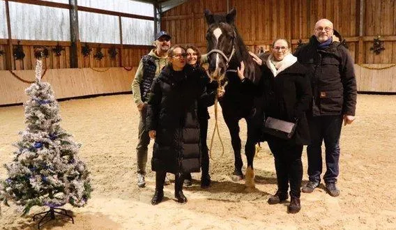 photo  waouh, aux écuries d’am.  &copy;  ouest-france 