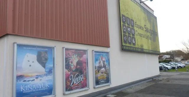 photo  des films familiaux à l’affiche du rex en ce moment.  &copy;  le maine libre 